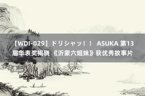 【WDI-029】ドリシャッ!! ASUKA 第13届华表奖揭晓 《沂蒙六姐妹》获优秀故事片
