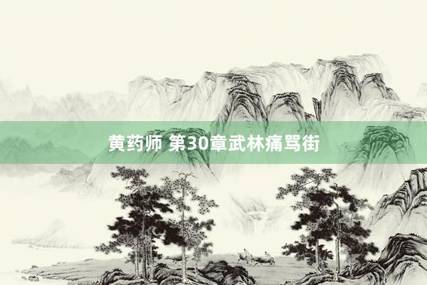 黄药师 第30章 武林痛骂街