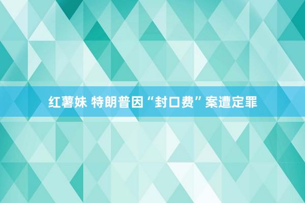 红薯妹 特朗普因“封口费”案遭定罪