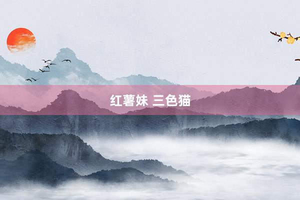 红薯妹 三色猫