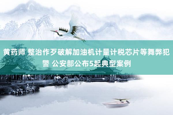 黄药师 整治作歹破解加油机计量计税芯片等舞弊犯警 公安部公布5起典型案例