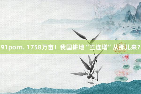 91porn. 1758万亩！我国耕地“三连增”从那儿来？